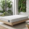 Materasso Manifattura Falomo Kuschelmed ambientazione green