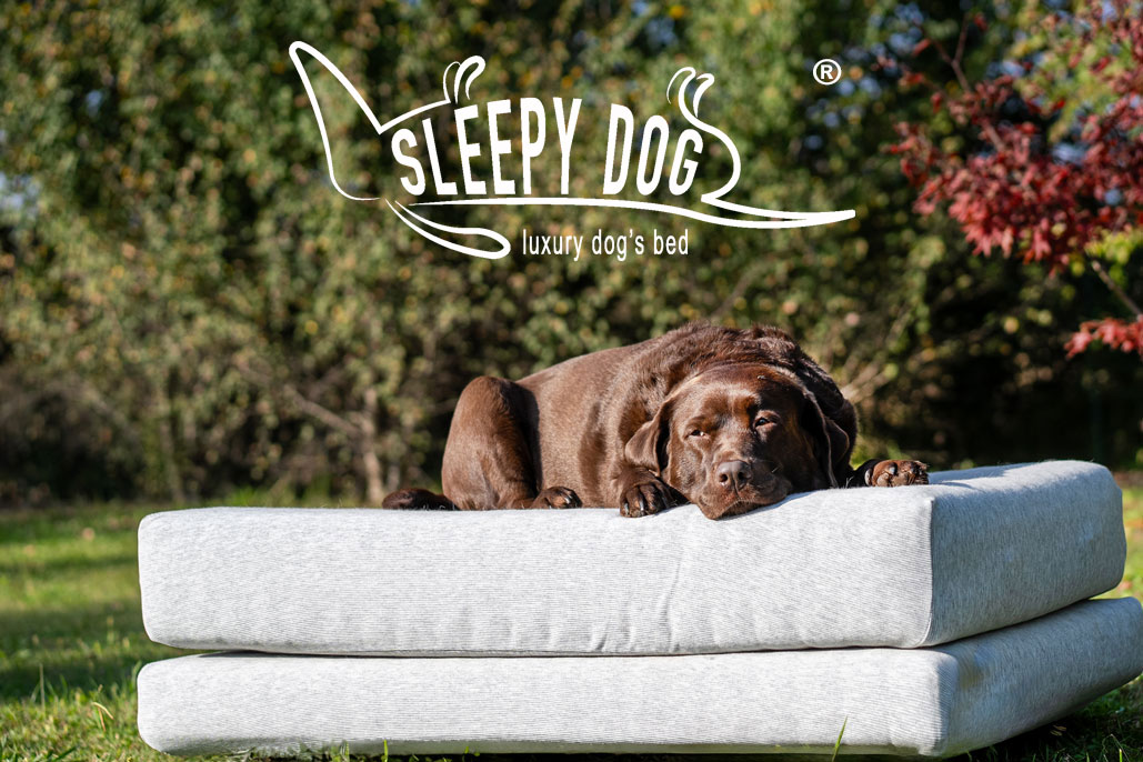 Sistema Letto per cani Sleepy Dog 2
