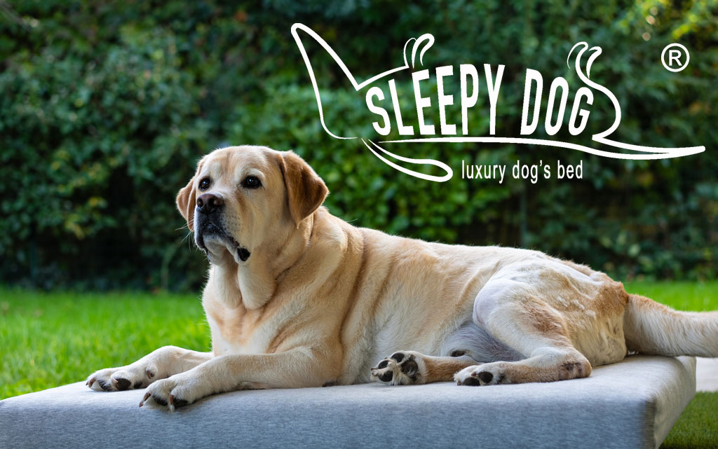 Sistema Letto per cani Sleepy Dog